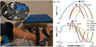 Applying Stretch to Evoke Hyperreflexia in Spasticity Testing: Velocity vs. Acceleration